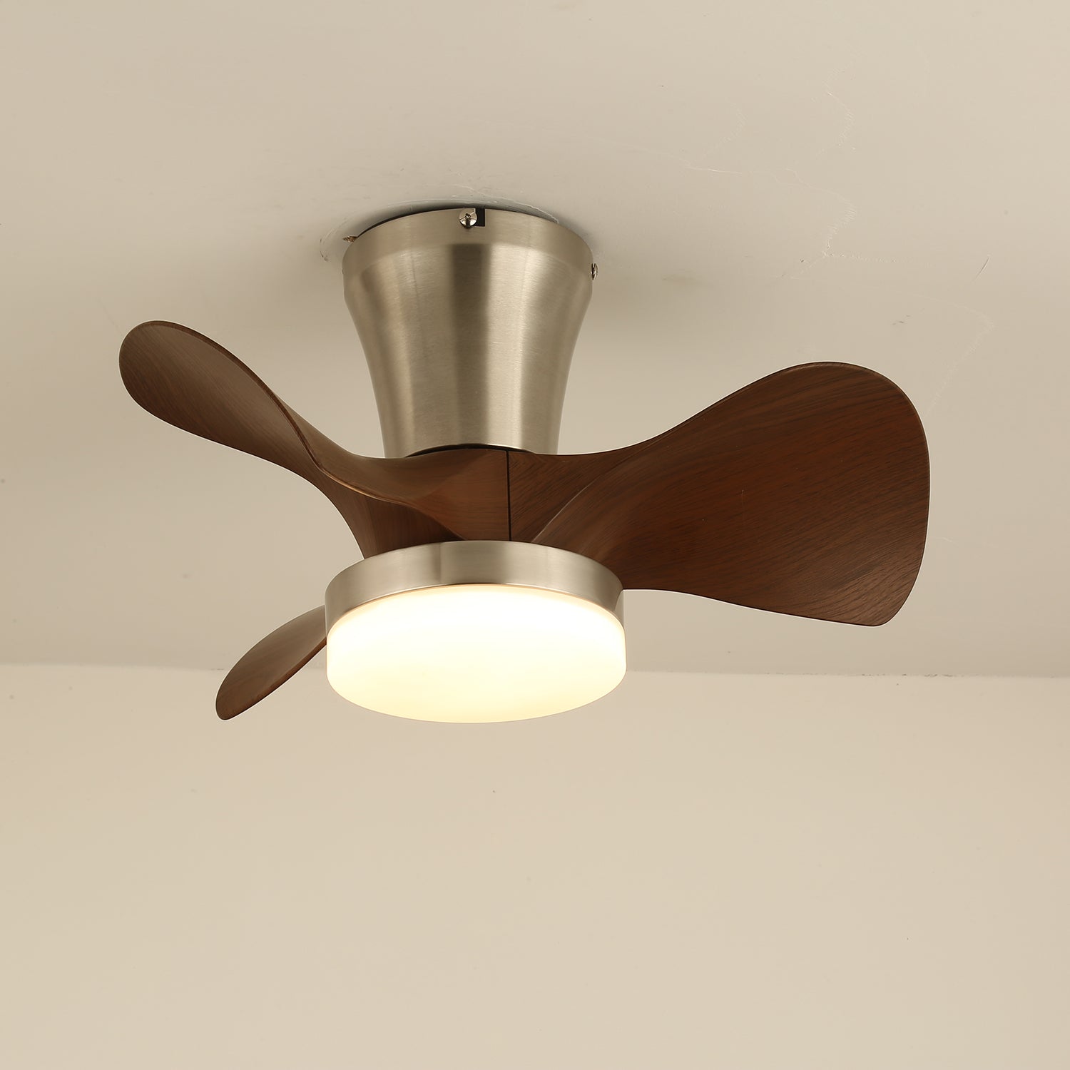 Arvento Ceiling Fan Light