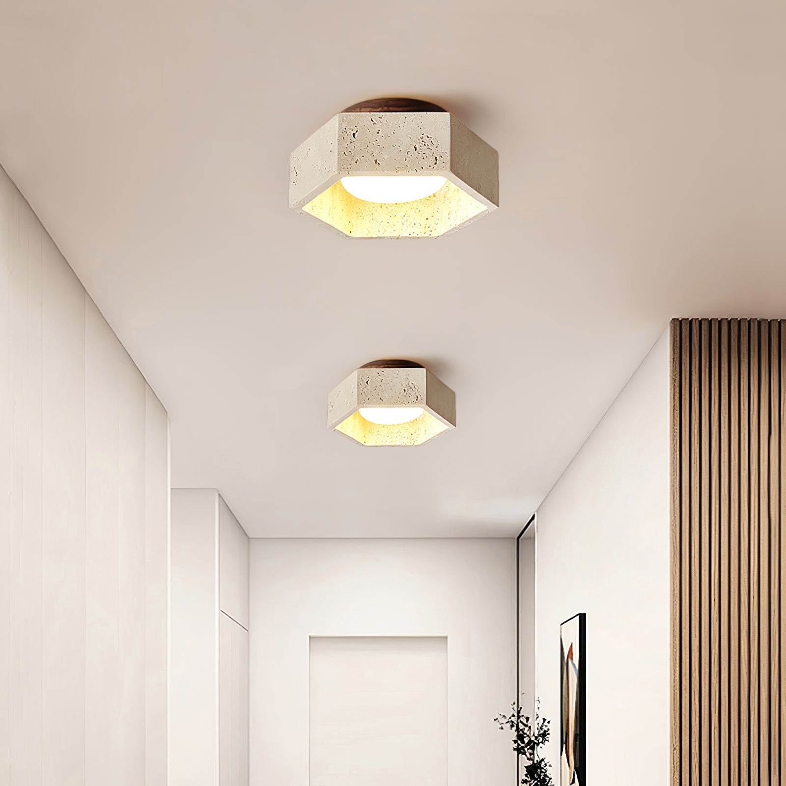 Hexa Core Ceiling Light