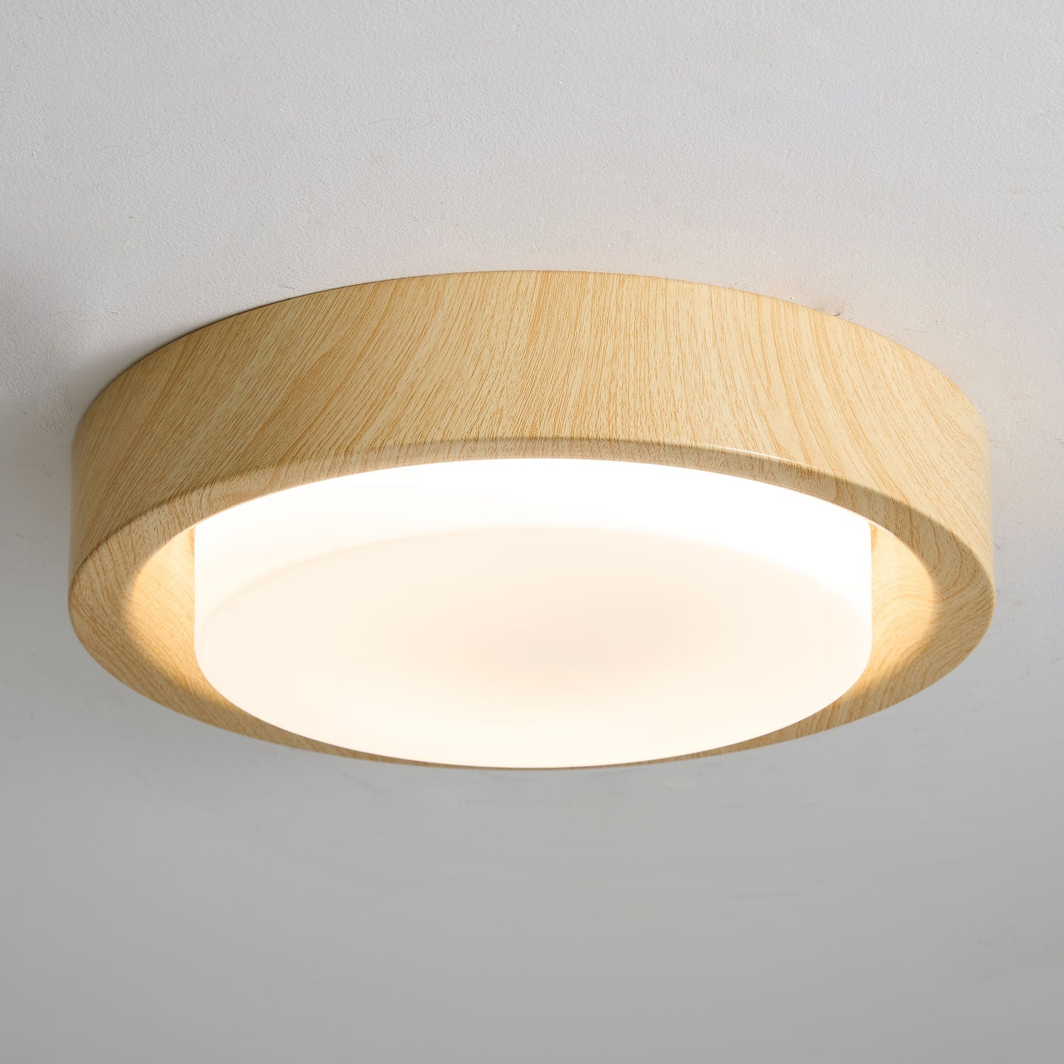 Lunor Ring Ceiling Light