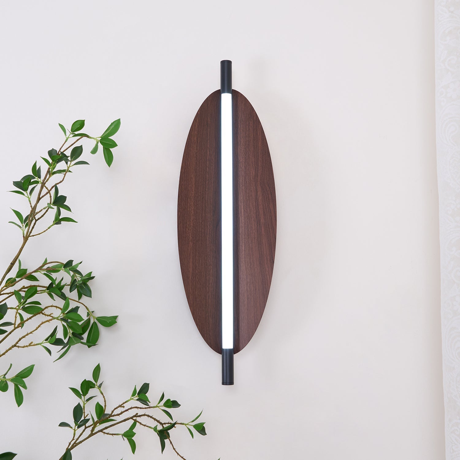 Sleek Board Sconce